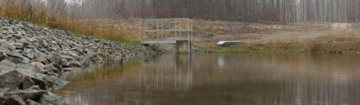 Na vyprahlých Drahanech postavily loni Vojenské lesy další tři vodní nádrže
